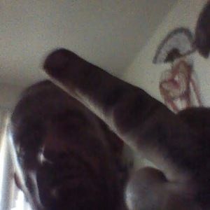 Meet your Posher, Charles